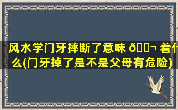 风水学门牙摔断了意味 🐬 着什么(门牙掉了是不是父母有危险)